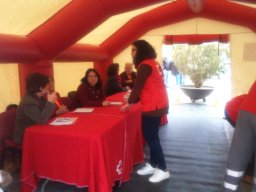 RECOGIDA ALIMENTOS 18-12-2015